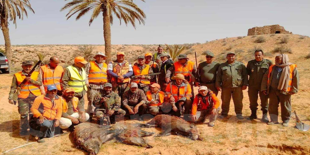 الخنزير الوحشي يؤرق فلاحي تطاوين.. والمندوبية تكشف أسباب تعثر مكافحته