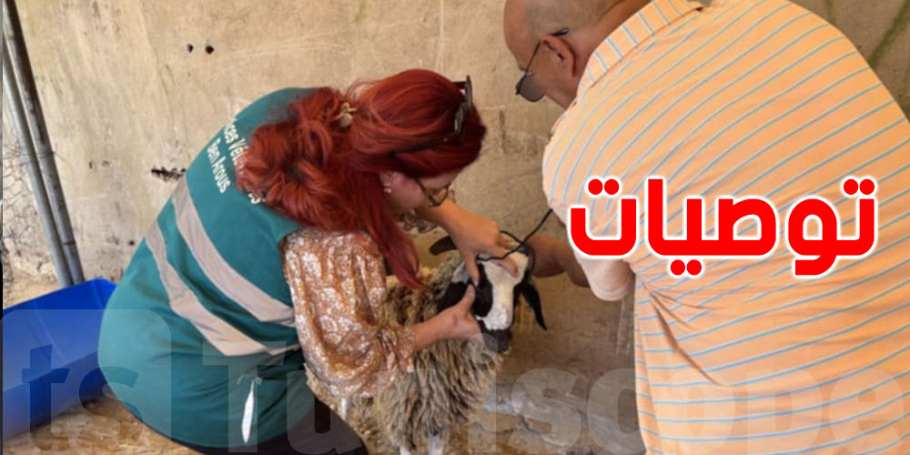 تحذير من وزارة الفلاحة: حرارة الصيف تهدد أضاحي العيد وهذه هي الحلول