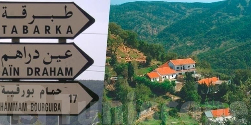 وزير السياحة: طلب كبير على طبرقة عين دراهم...التفاصيل 