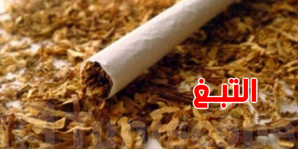 تونس : حجز 1310 علبة تبغ