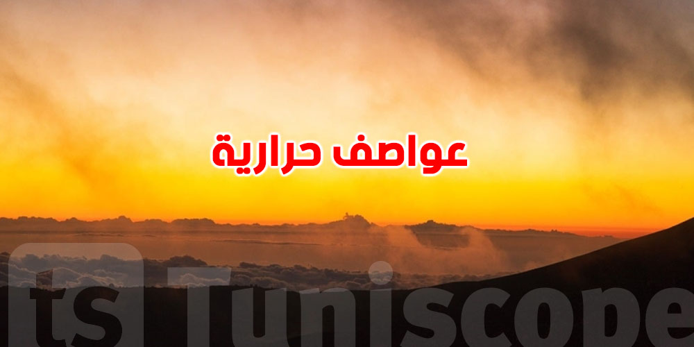 ياخي شنوة قاعد يصير في مناخ العالم؟ حمدي حشّاد يكشف التفاصيل