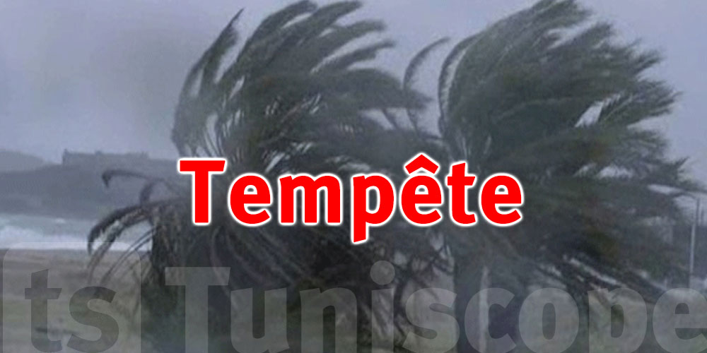 Tunisie : Une forte tempête isole cette région du pays