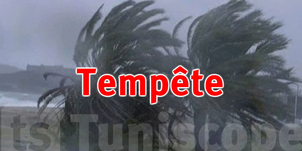 Tunis en alerte : trois tempêtes prévues, vigilance maximale sur routes et côtes