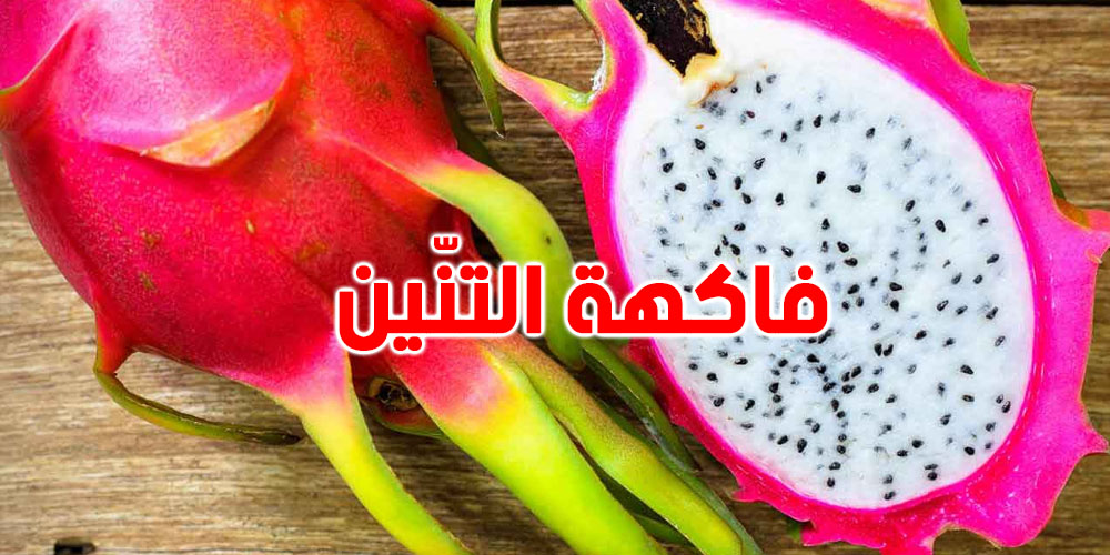 ''فاكهة التنين'' تغزو تونس: مشروع ضخم بـ30 ألف شجرة في المنستير!
