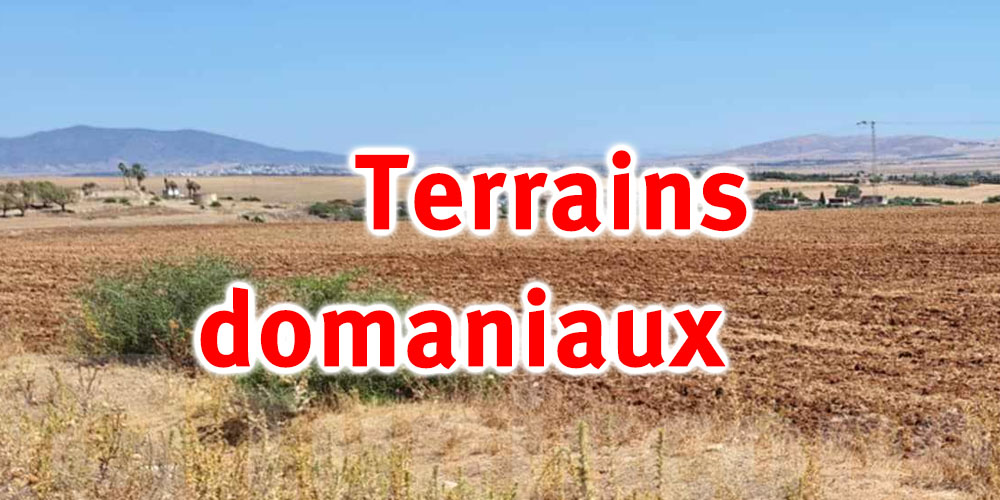 Bizerte: Récupération de 3 terrains domaniaux agricoles d'une superficie de 55 ha