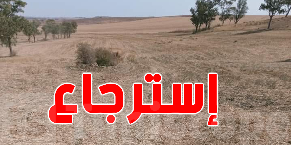 تونس :استرجاع 7 هك من أراضي الدولة الفلاحية بمنوبة