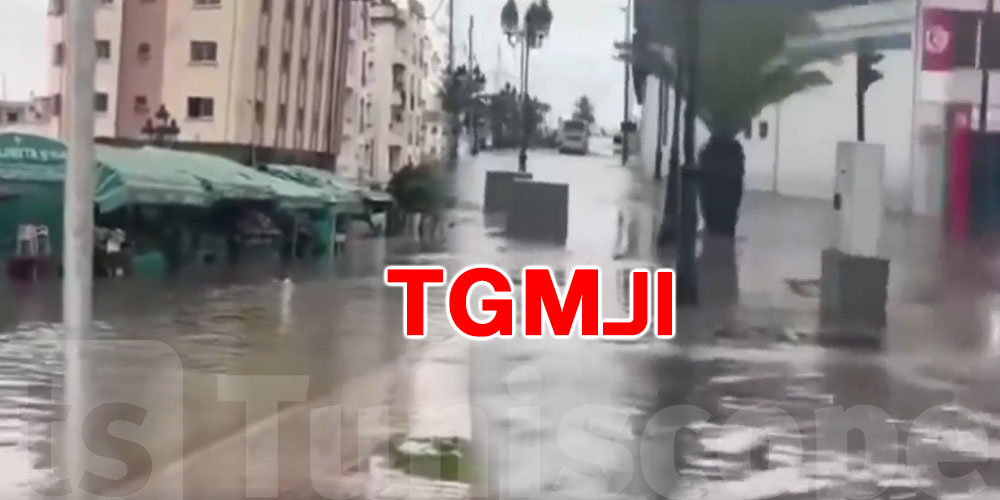 شنيا صاير في محطة الـ TGM؟