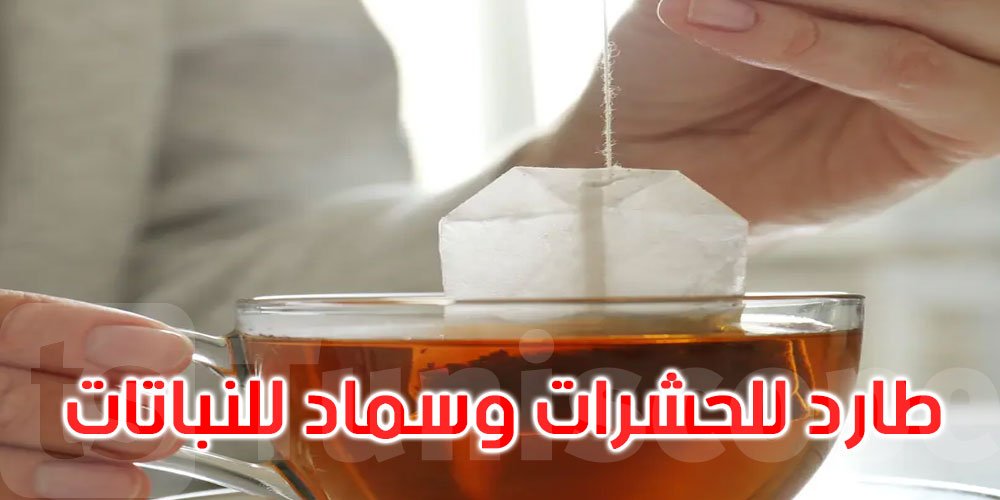 طارد للحشرات وسماد للنباتات.. 4 استخدامات لأكياس الشاي القديمة