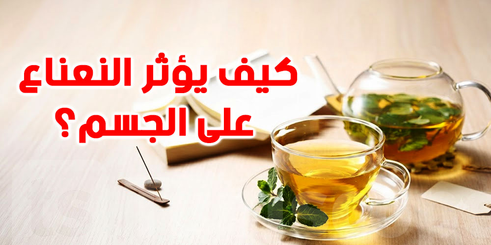 من فنجان الشاي إلى تهدئة التوتر.. كيف يؤثر النعناع على الجسم؟
