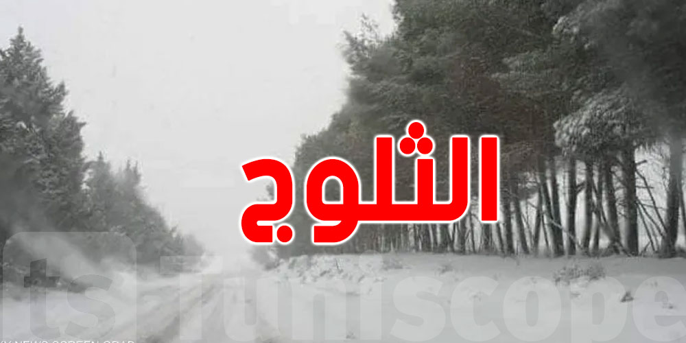 بالفيديو: أجواء تُنعش قلب التونسيين...ثلوج بمرتفعات القصرين