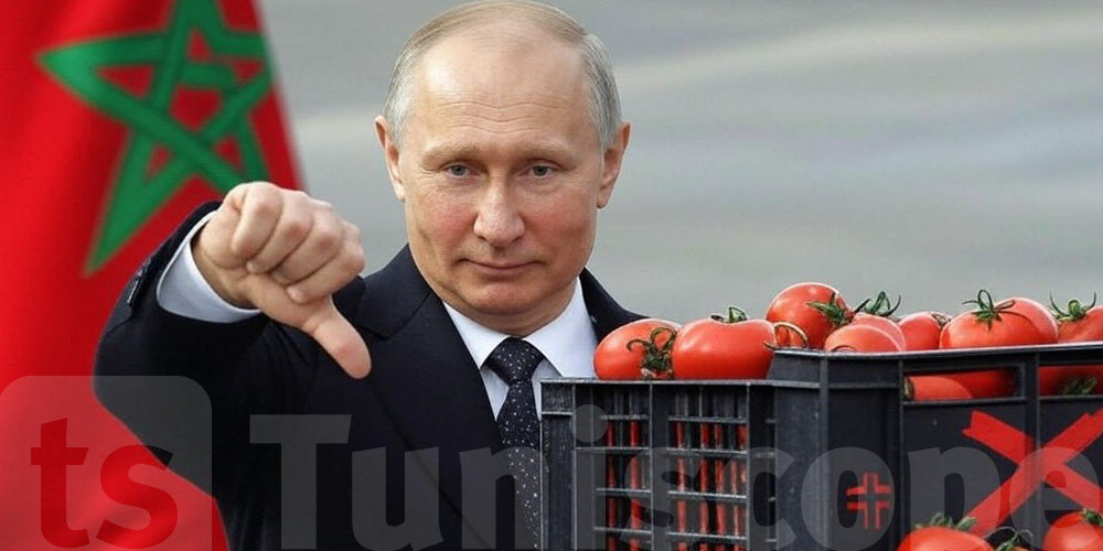 Tomates marocaines interdites en Russie : Voici pourquoi ? 