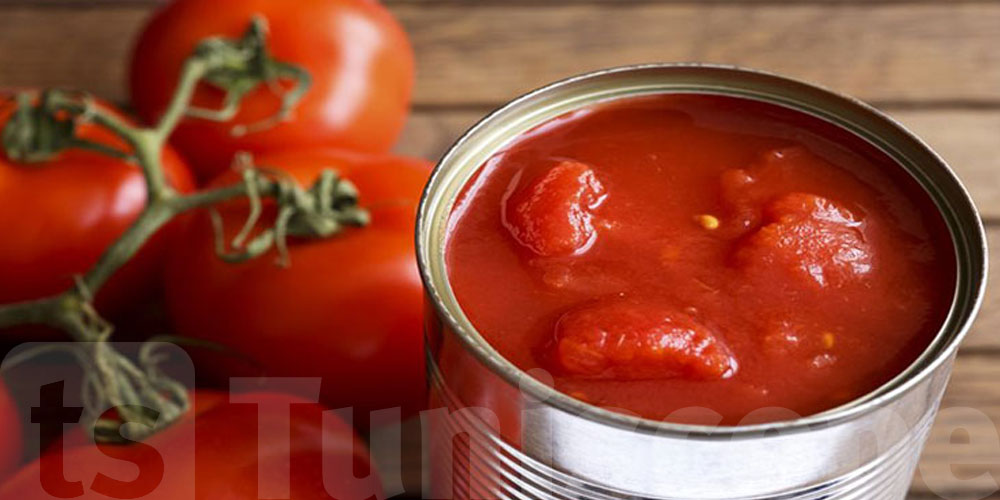 مجمع مصبرات الصناعات الغذائية: الطماطم المُعلبة متوفرة باستثناء نقص في 3 أو 4 علامات