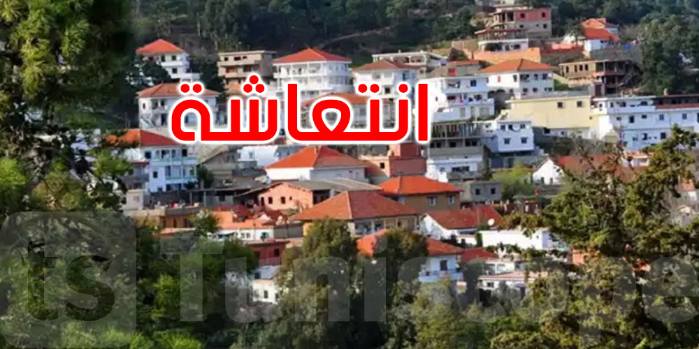 جندوبة تستعيد بريقها… ارتفاع المؤشرات السياحية والسوق الداخلية في المقدمة