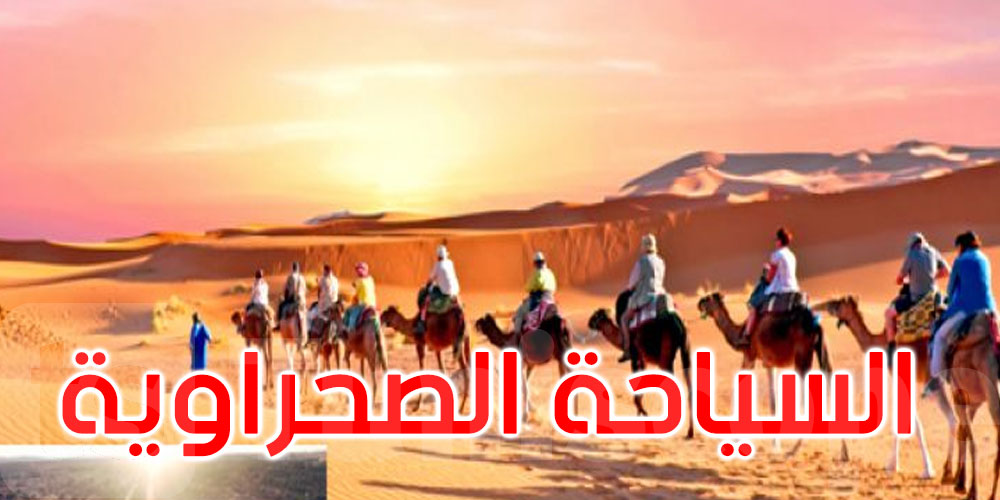 الموسم الصحراوي يبدأ غرة سبتمبر.. وهذه أبرز تحضيرات قبلي