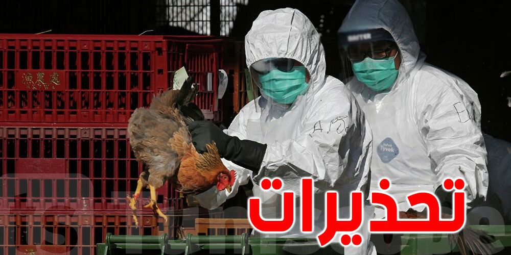 الصحة العالمية: مخاطر ''أنفلونزا الطيور'' على الصحة العامة منخفضة
