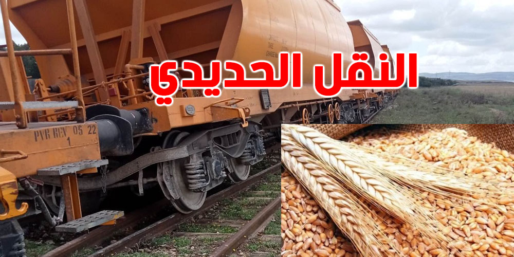 قريبا القمح والشعير يركبوا في ''train''؟ تعرف على خطة النقل الجديدة