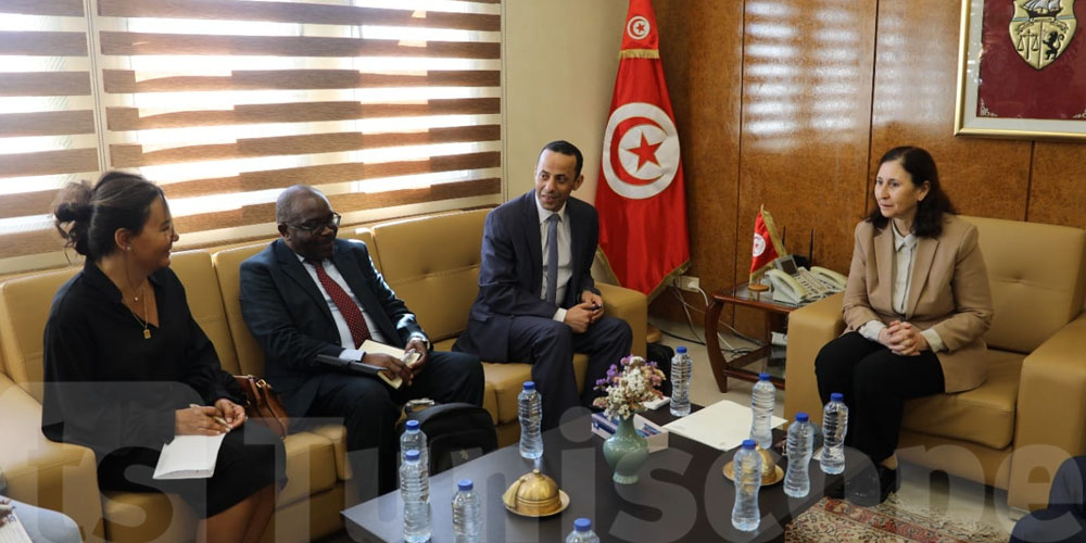 La Tunisie et le COMESA unissent leurs efforts dans le secteur des transports