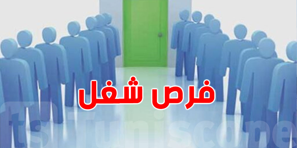 وزير التشغيل: فرص جديدة لآلاف الشباب في مصانع مكونات السيارات
