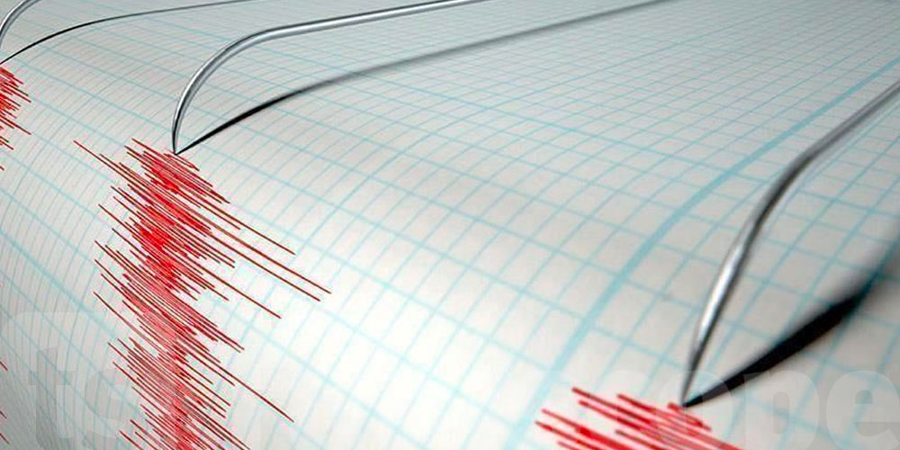 Tremblement de Terre en Turquie : La Région de Burdur Secouée par un Séisme de 4.4