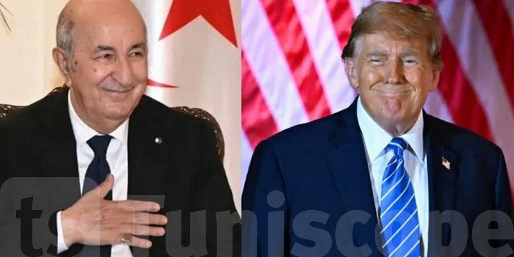 تبون يستقبل مستشار ترامب في الجزائر.. شنوة صاير بين الجزائر وأمريكا؟