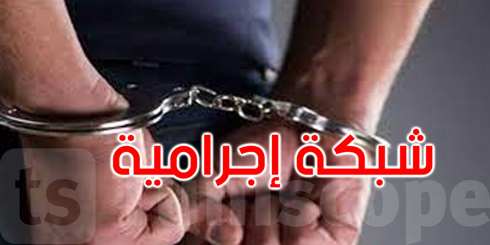 القبض على سبعة عناصر تنشط ضمن شبكة إجرامية خطيرة بتونس الكبرى