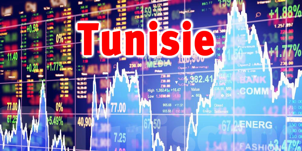 Cyber attaque ciblée sur le site de La Croix Electronics en Tunisie
