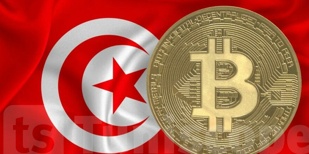 Tunisie grimpe dans le classement mondial de l’adoption des cryptomonnaies