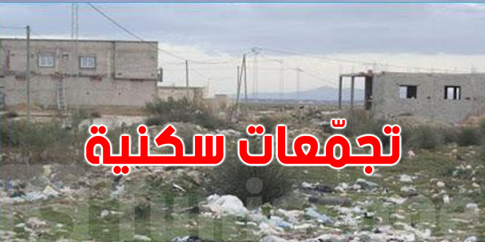 وزير أملاك الدولة: 55 % من التجمّعات السّكنية مبنيّة على عقارات فلاحية