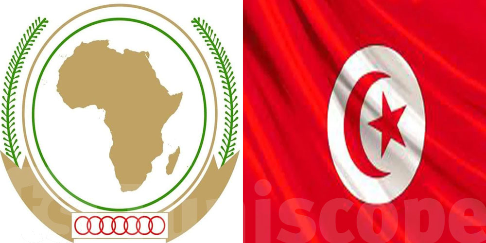 Fin du mandat de la Tunisie au Conseil de paix et de sécurité de l'UA