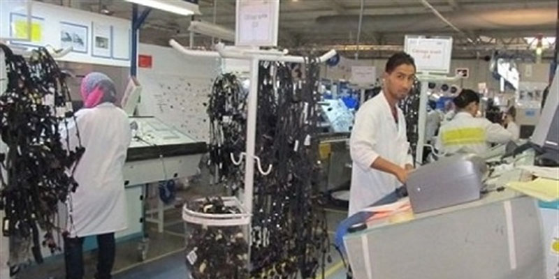 باجة مصنع الخميرة مهدد بالغلق وأزمة محتملة في قطاع المخابز