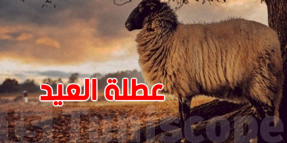 عاجل: عطلة بيوميْن بمناسبة عيد الأضحى لأعوان الدولة والمؤسسات العمومية