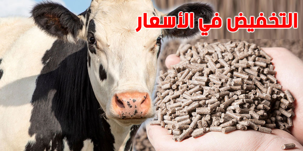 رسمي : التخفيض في أسعار الأعلاف المركبة الموجهة للأبقار الحلوب