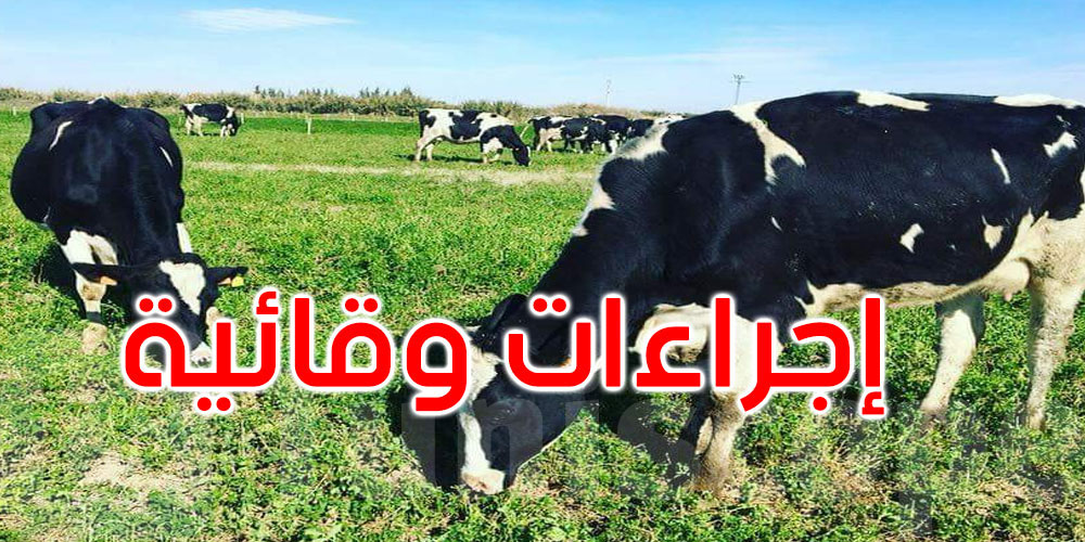   إثر ظهور مرض معد عند الأبقار في بلد مجاور: وزارة الفلاحة تتخذ هذه الإجراءات