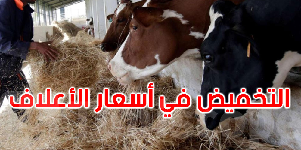 وزارة التجارة: التخفيض في سعر الأعلاف المركبة الموجهة للأبقار الحلوب