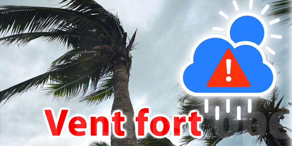 INM alerte : rafales puissantes et mer très agitée sur plusieurs régions