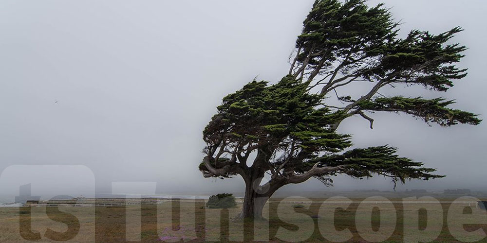 Vents violents à Jendouba : Restez prudents ce mercredi soir !