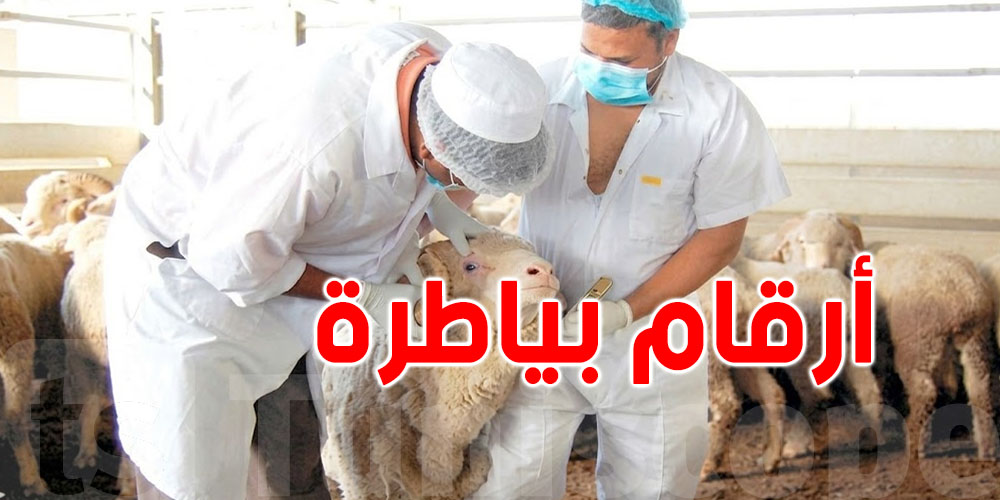 يهمّ التوانسة في العيد: أرقام بياطرة متطّوعين بش يعاونوك