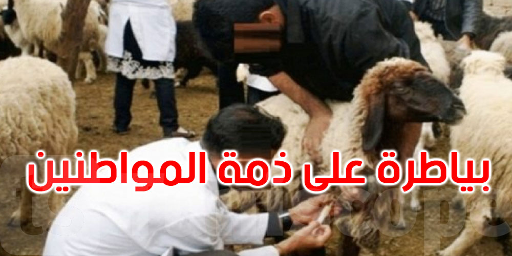 عاجل: فريق من البياطرة على ذمة المواطنين يوم العيد: التفاصيل