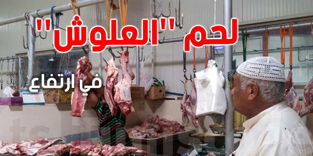 خطر من ارتفاع سوم كيلو العلوش الي ينجم يوصل حتى 80 دينار..شنيا الأسباب؟