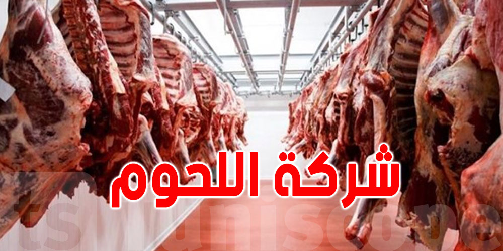 بداية من هذا الموعد: شركة اللحوم تشرع في بيع أضاحي العيد