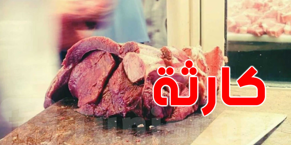 عاجل: 500 دجاجة في مذبحة عشوائية...ظروف ''مقزّزة'' تهدّد صحة التونسيين