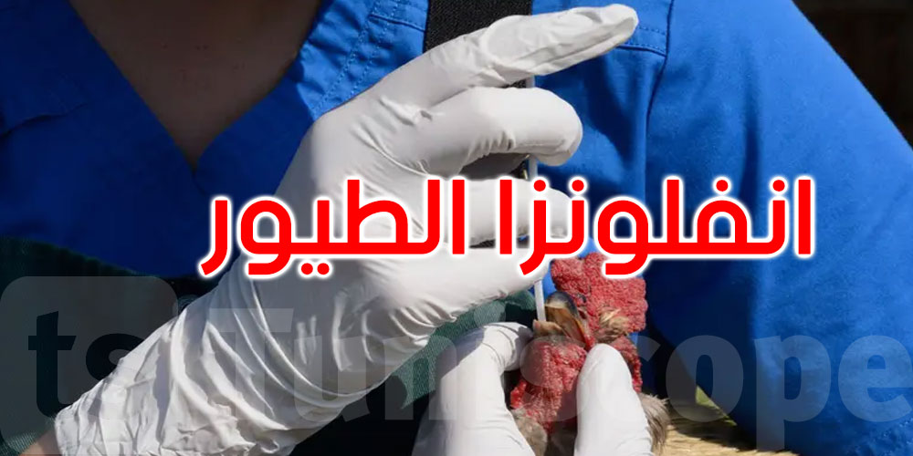 بعد أميركا: كندا ترصد أول إصابة بشرية بإنفلونزا الطيور إتش5