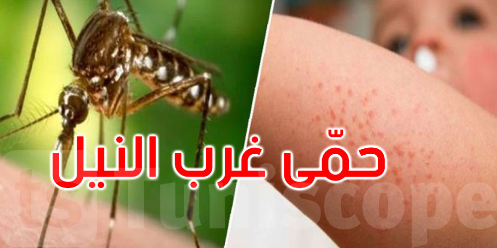 المنستير: تسجيل حالتي إصابة بحمى غرب النيل منذ بداية السنة المنستير: تسجيل حالتي إصابة بحمى غرب النيل منذ بداية السنة