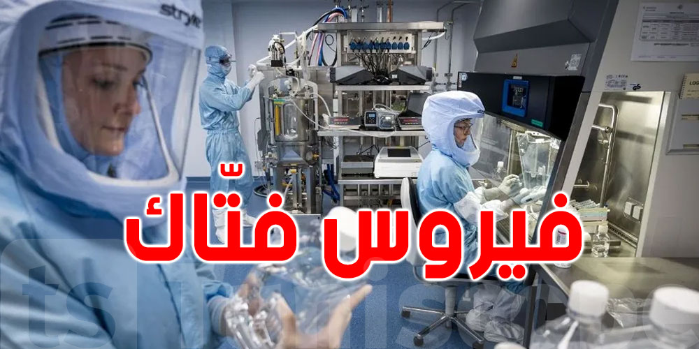 اكتشاف فيروس تاجي جديد لدى الخفافيش في الصين