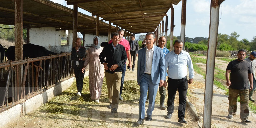 Le ministre de l'Agriculture effectue une visite inopinée au complexe agricole d’Enfidha