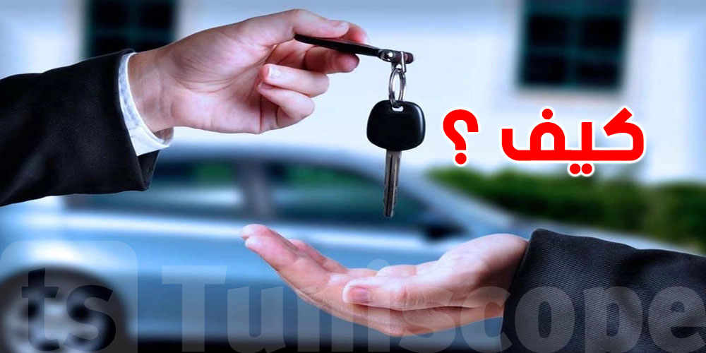 تحب تبيع كرهبتك بأعلى سعر؟ هاك السرّ!