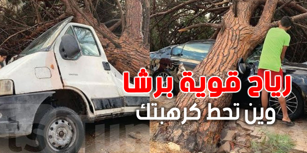   وين تبركي كرهبتك في الريح القوية؟...خطوات مهمة لازمك تبعها 