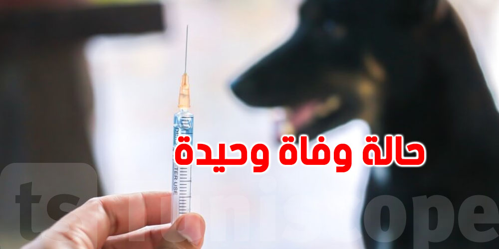 تونس: حالة وفاة وحيدة بداء الكلب هذا العام.. الوقاية واجبة!