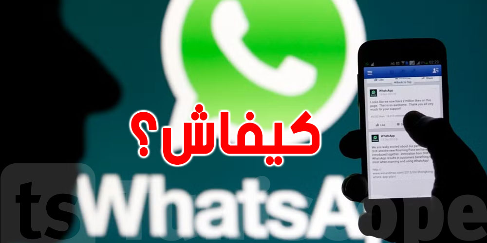 احتيال واتساب الجديد يهدد حسابات التونسيين: كيفاش تحمي فلوسك وهويتك؟