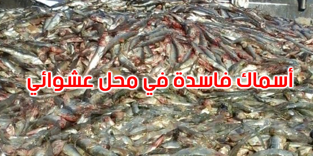 عاجل: زغوان: حجز أكثر من 700 كلغ من السمك الفاسد  